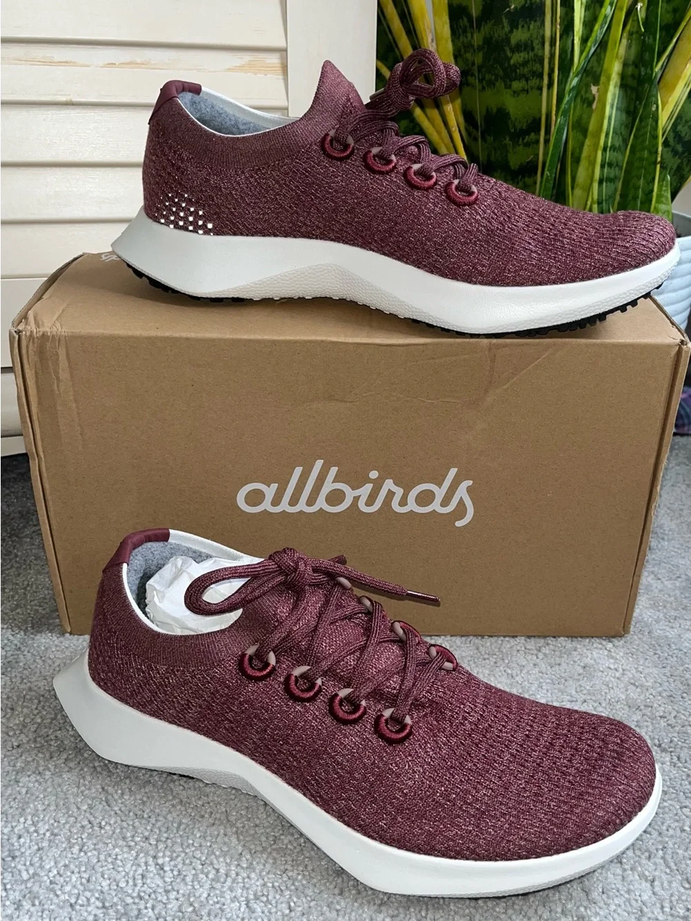 allbirds nib men’s